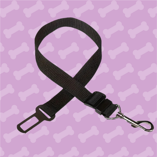 Black dog leash