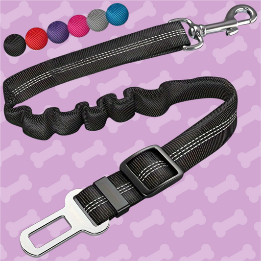 Black dog leash with metal clip