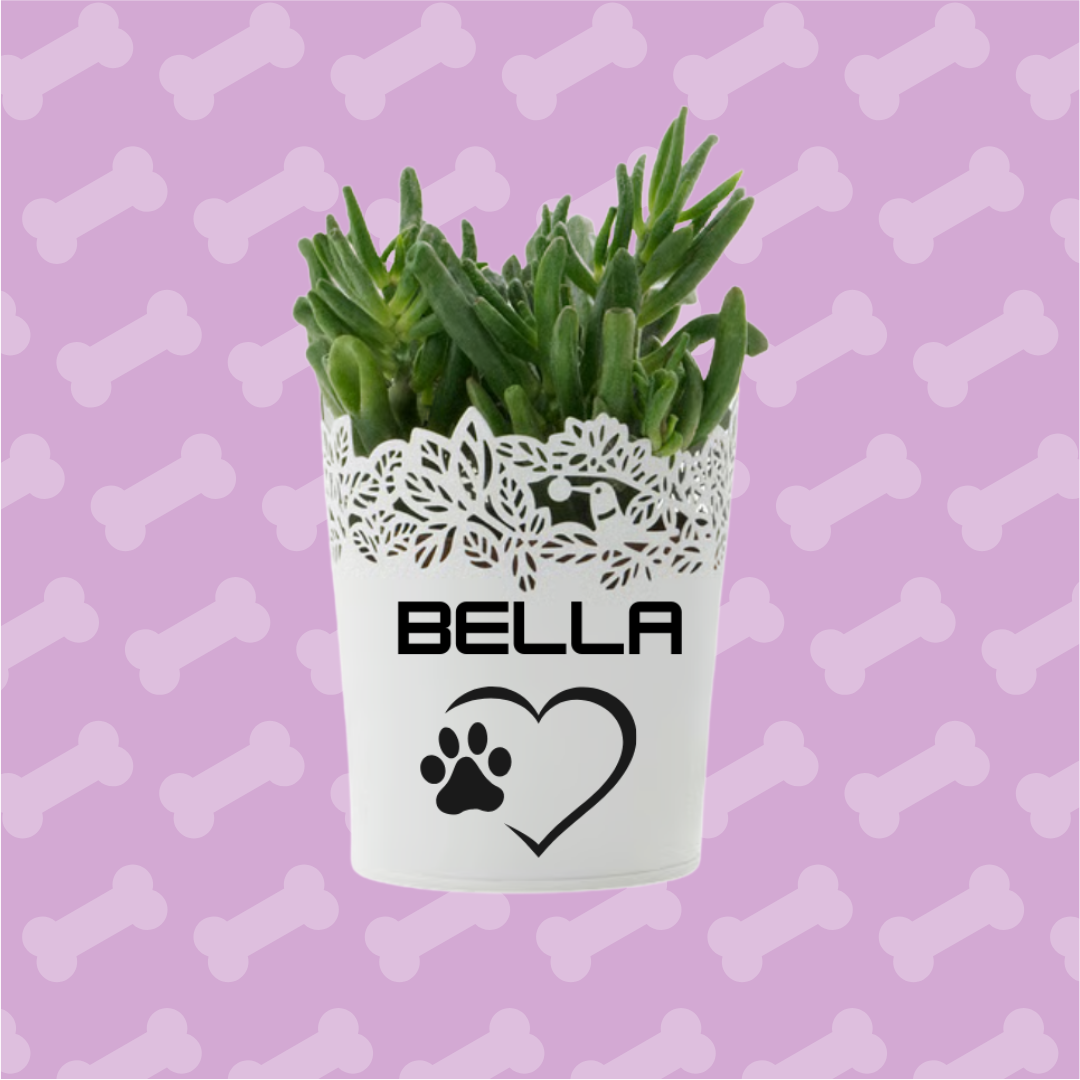 Custom Flower Pot