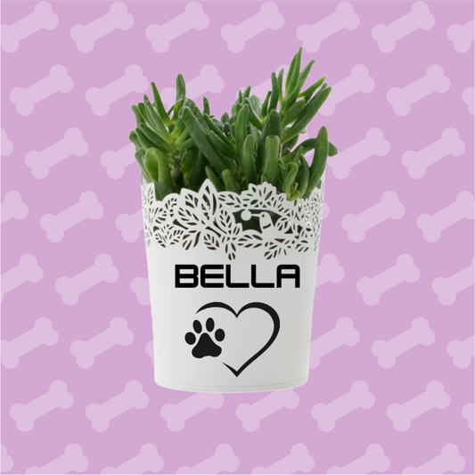 Custom Flower Pot