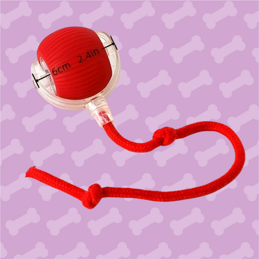 Dog toy