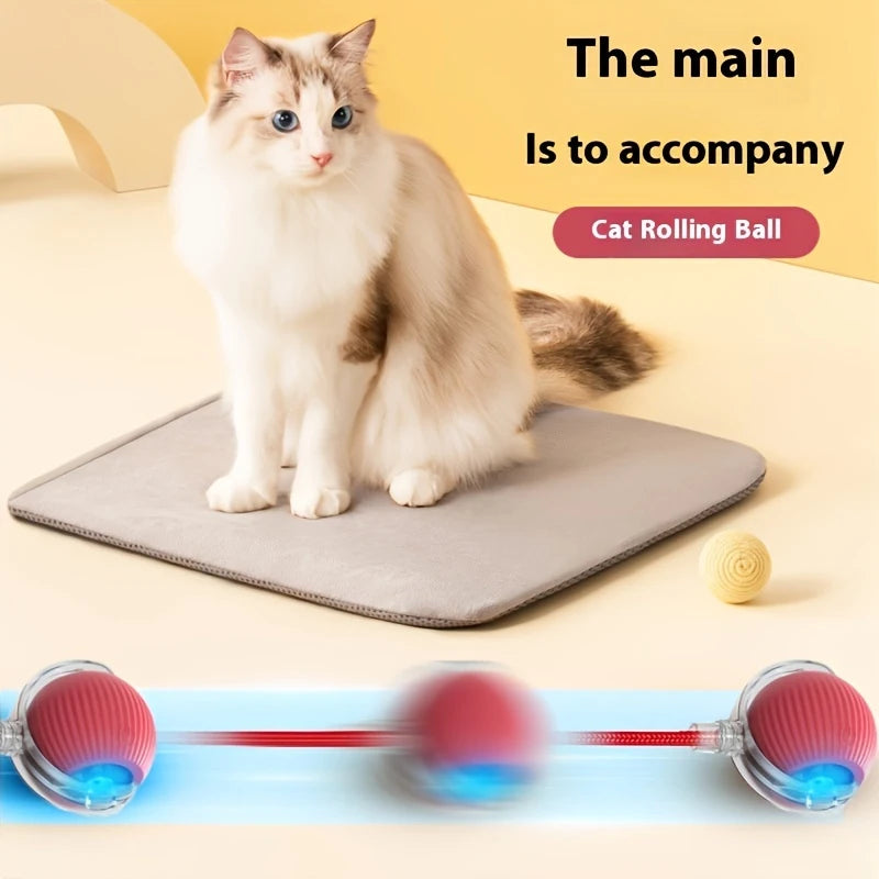cat rolling ball