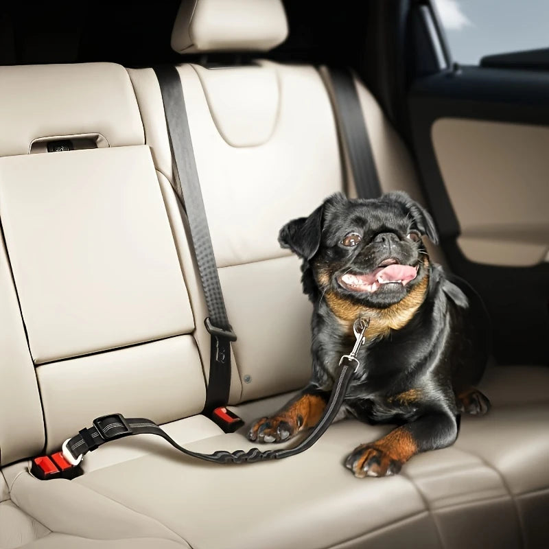 dog car seat belt
