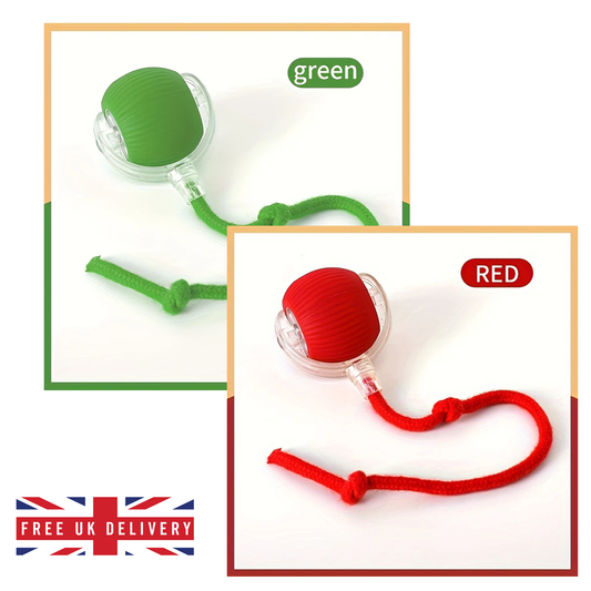 indoor pets toys
