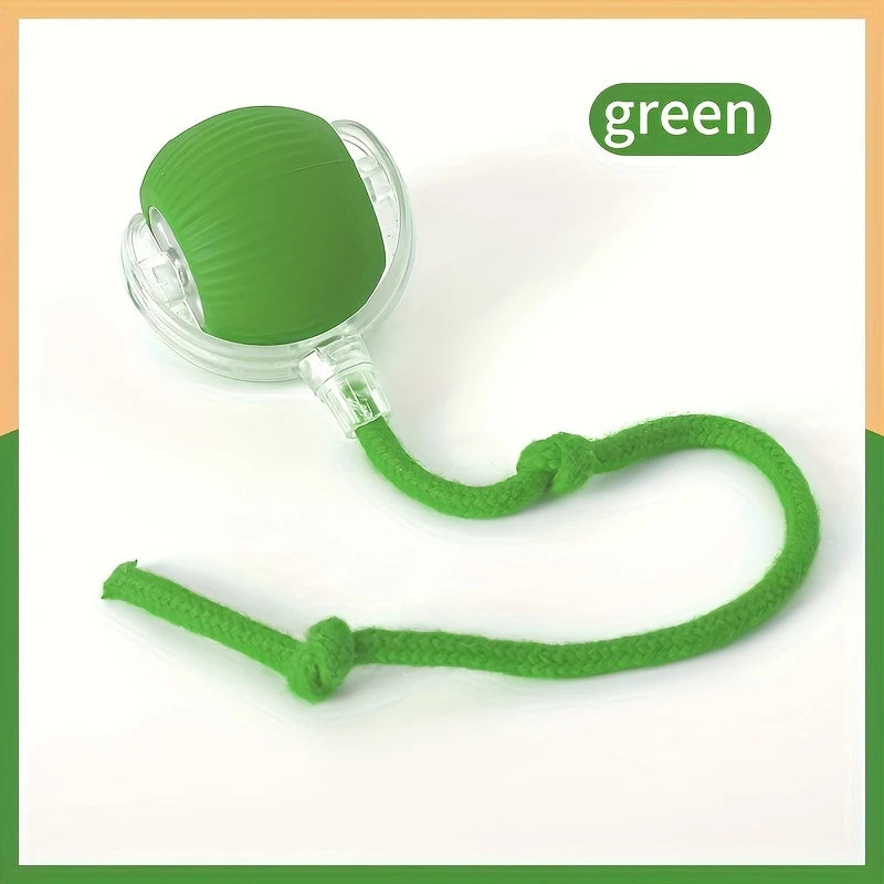 pet toy
