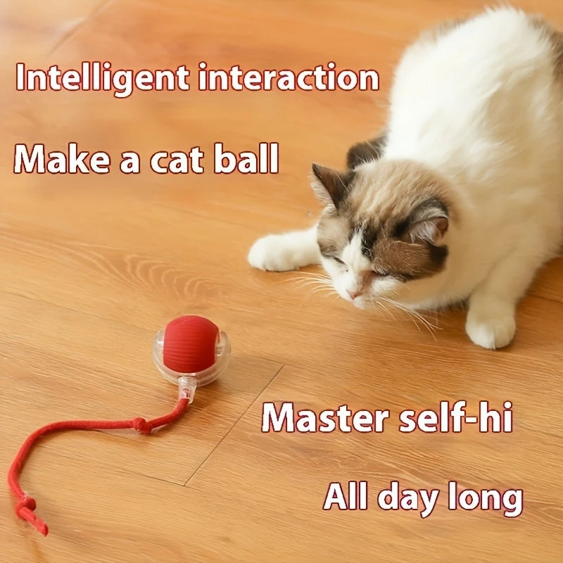 red cat toy
