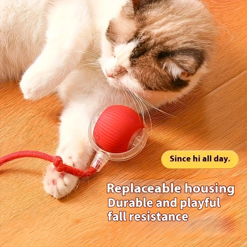 toys for cat