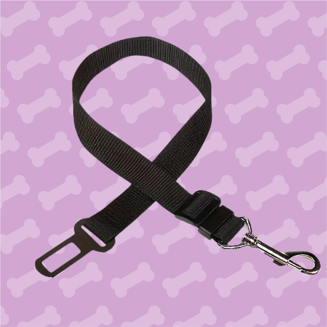Black dog leash