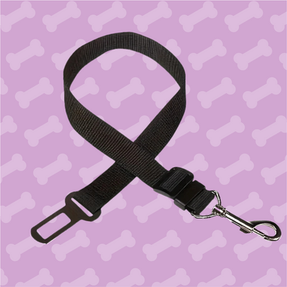Black dog leash