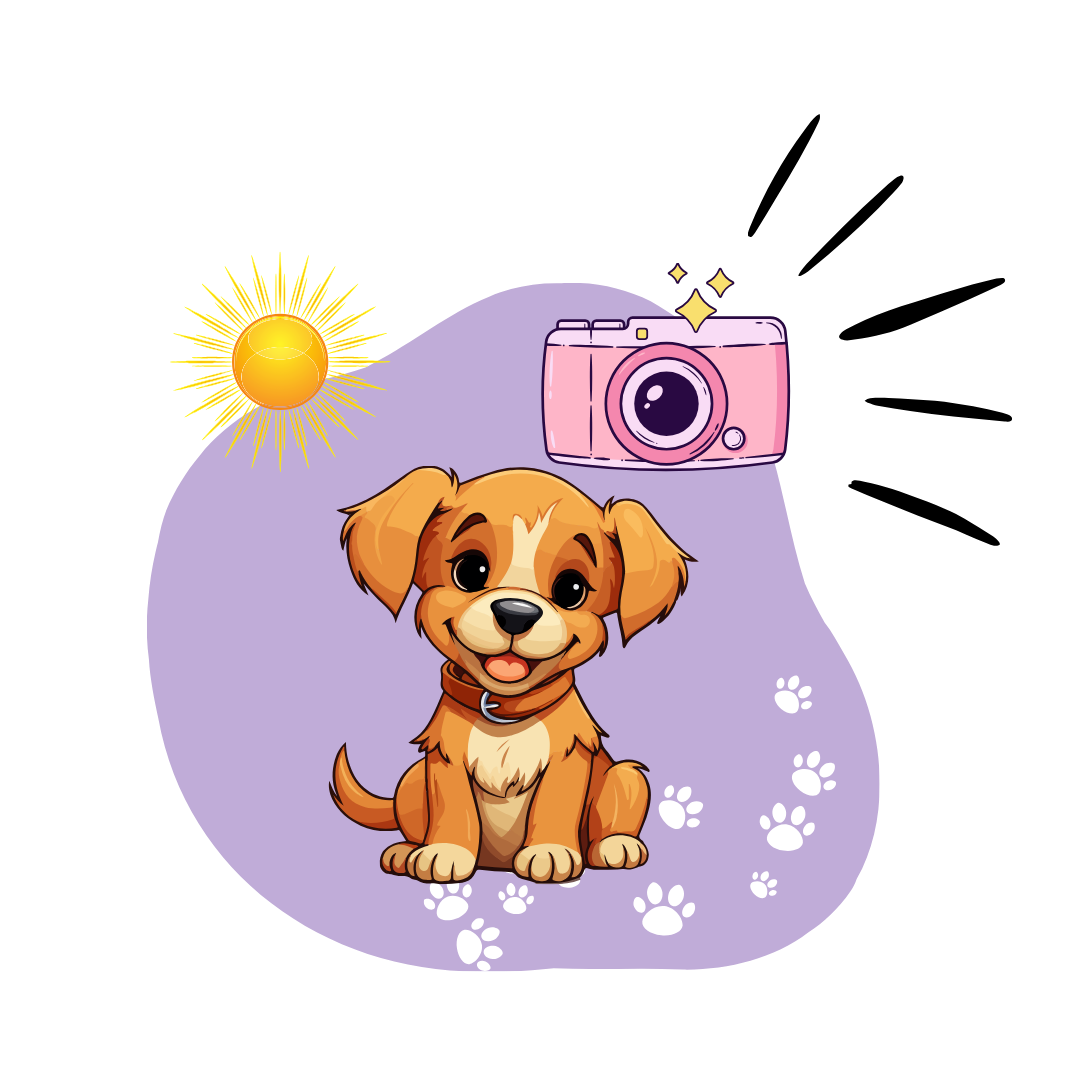 Pet image