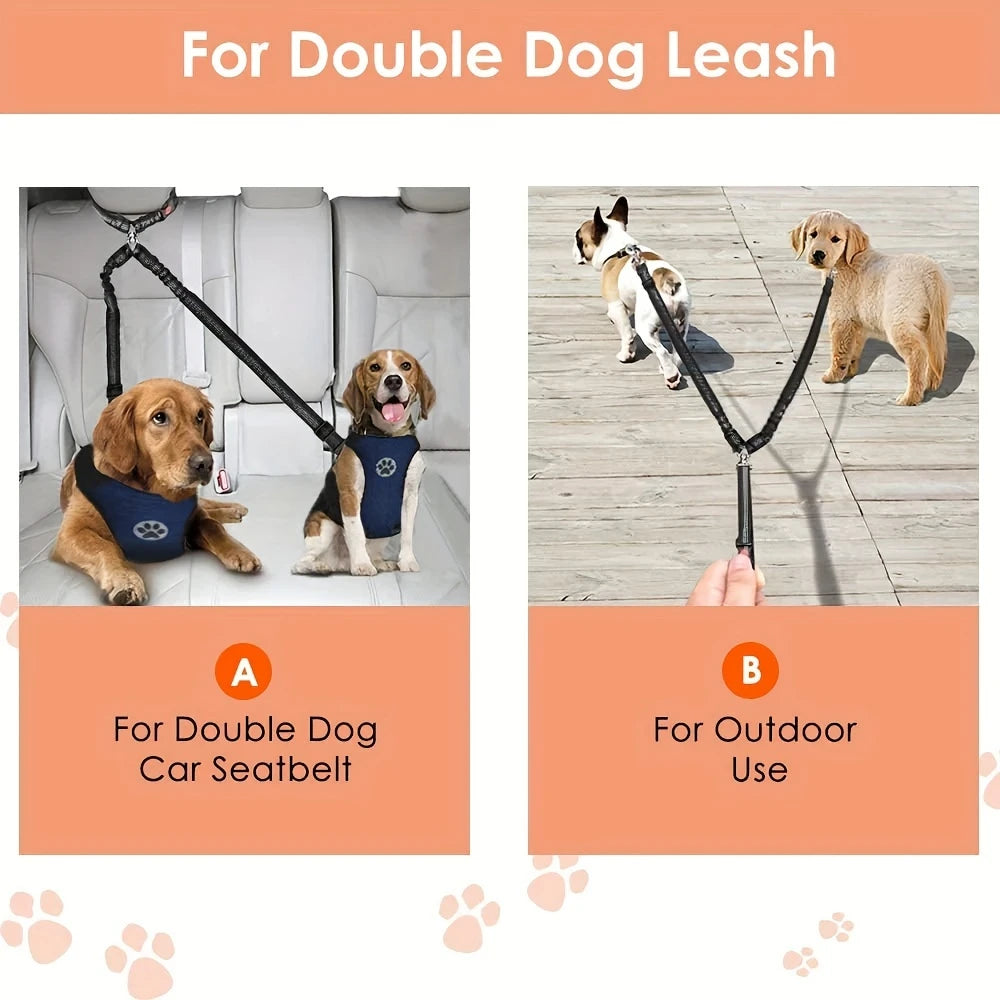 Two dogs secured with adjustable split car lead