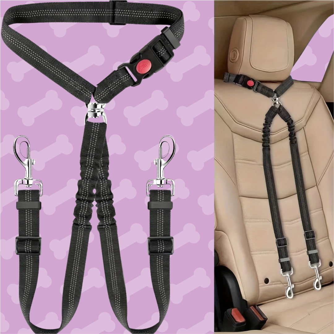 Pet car seat harness with attachments .