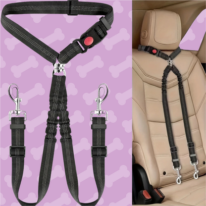 Pet car seat harness with attachments .