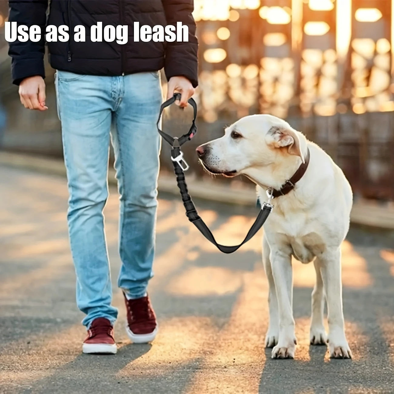 car seat belt dog leash