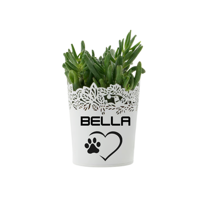 custom pot