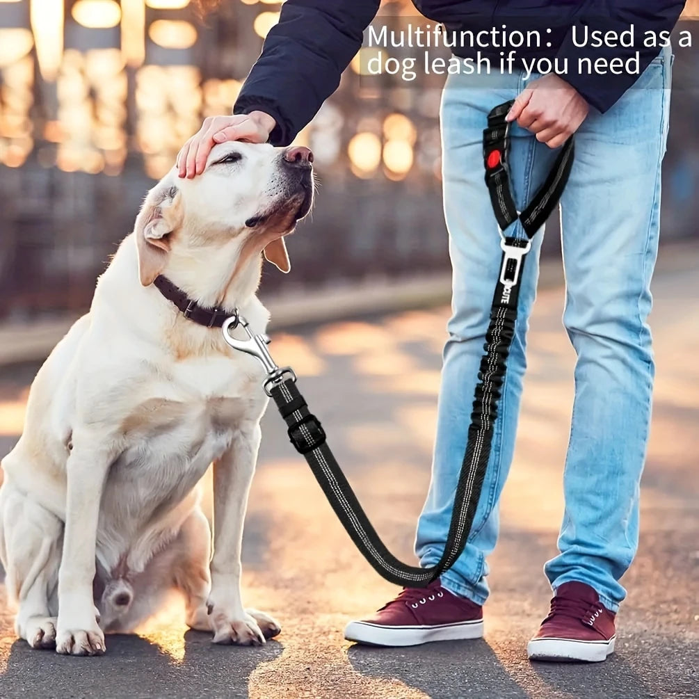 leash_for_dogs
