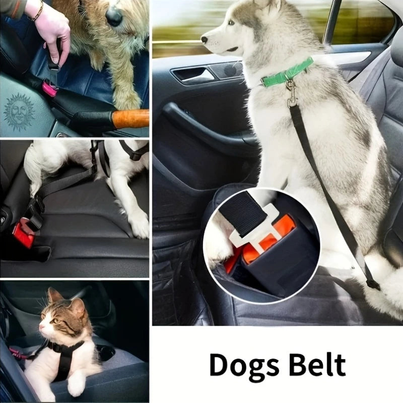 pets seat belt