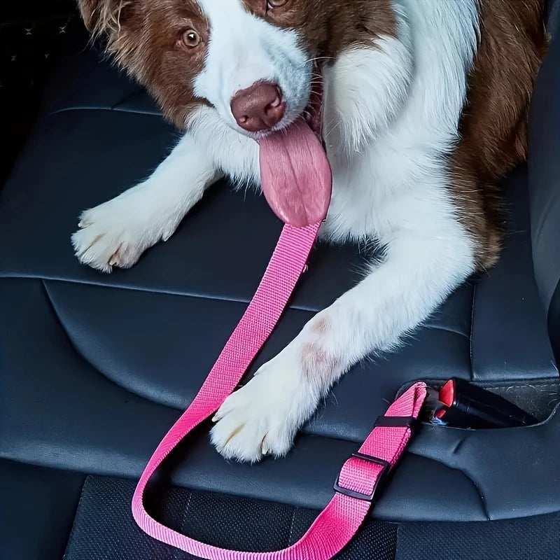 pink leash