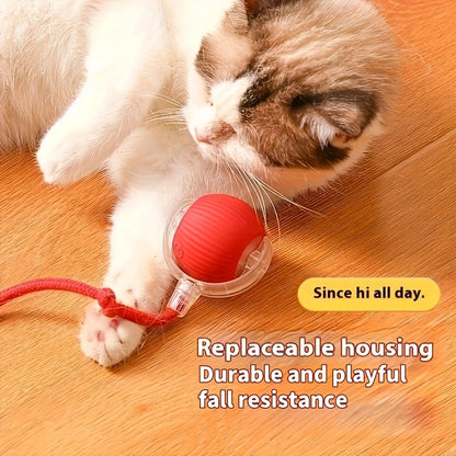 toys for cat